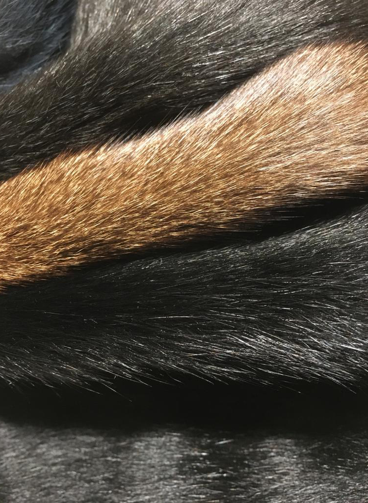 PEAUX LAINEES SPECIALES