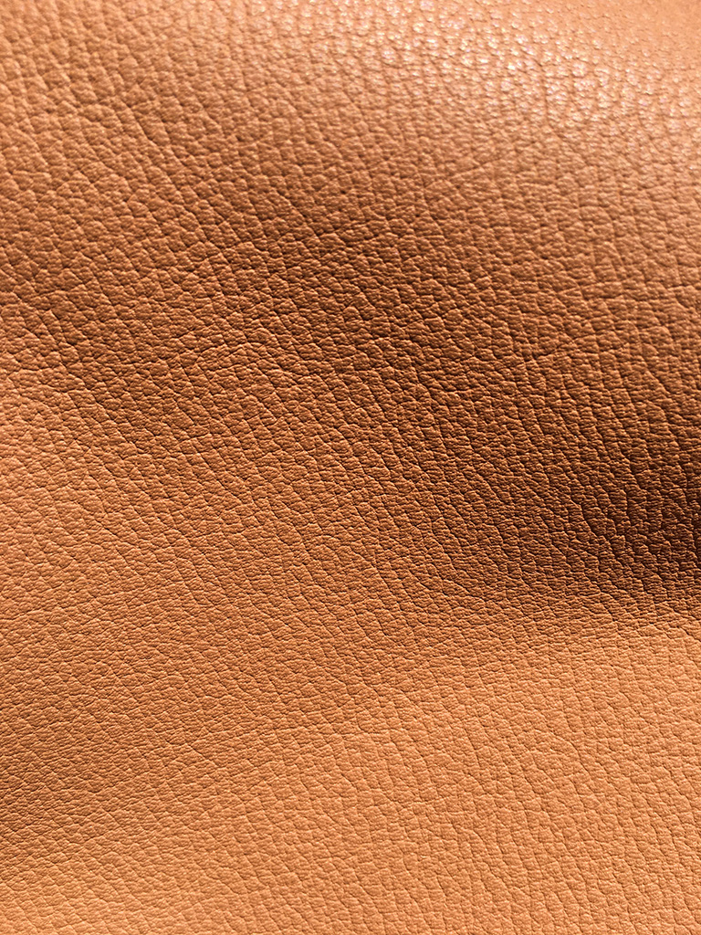 TAURILLON MAIA RUSSIA