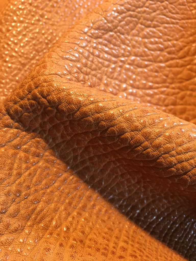 CHEVRE Crispée Végétal