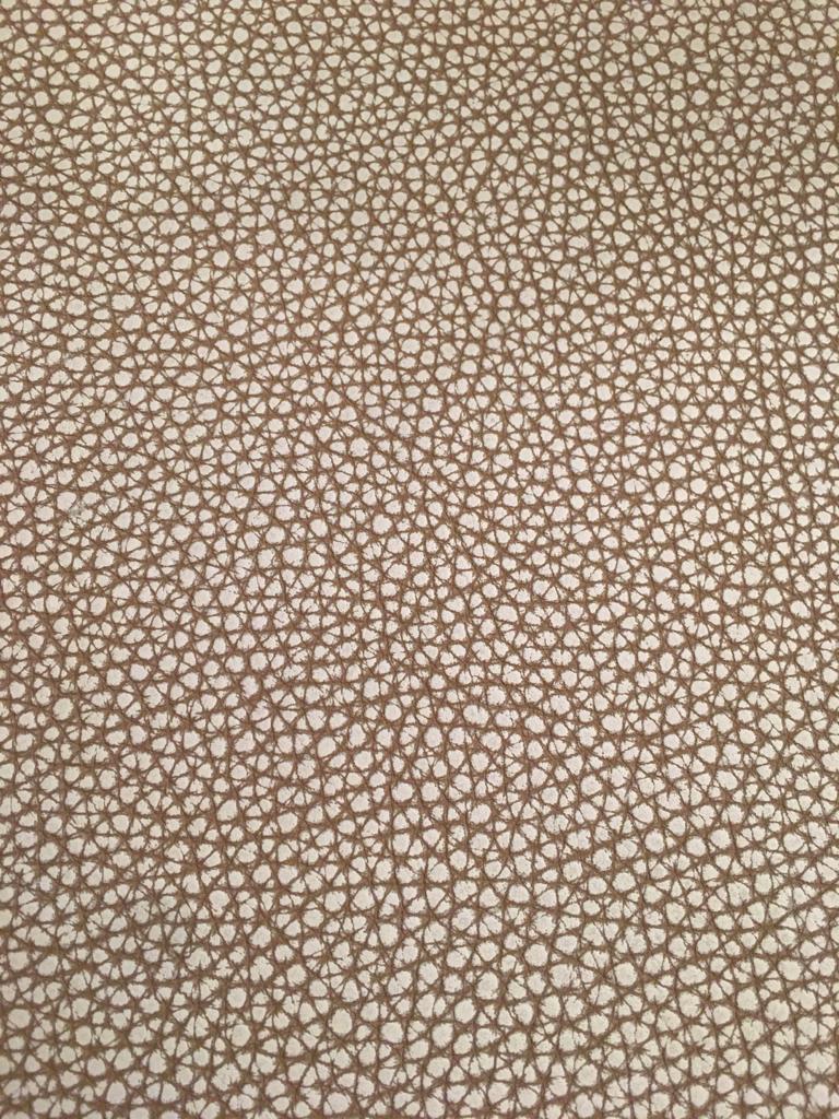 LAGUN DALMATIEN Tamponné main