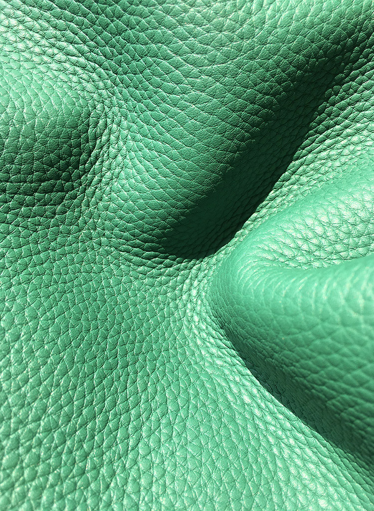 TAURILLON PLEINE FLEUR